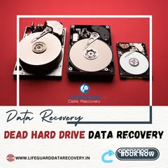  4 Lifeguard Data Recovery Services