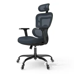  8 كرسي مكتب Lioncin Ergonomic،، كرسي كمبيوتر يدعم أسفل الظهر مع عجلات ومسند ذراع قابل للتعديل