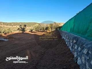  14 رقم الاعلان (4495) مزرعة للبيع في الكمشة حوض الميدان اطلالة بانوراما