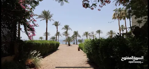  22 Talabay Apartments for rent  شقق تالابي العقبة للإيجار على البحر و البرك مباشرة