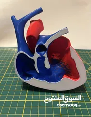  7 مجسمات 3 للطلاب و الجامعات