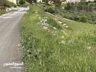  11 ارض 675 م غرب عمان/مرج الحمام/المشبك.عشارع اسفلت سكن ب 6 د عن دوار شوابكة والمريشد.منطقة خدمات وفلل
