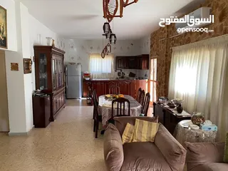  12 مزرعه للبيع في عجلون شمال شرق القلعه طريق مار الياس