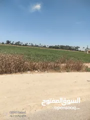  3 مزرعه للبيع على طريق صحراوي مصر اسكندريه يوجد فيها جميع الكماليات وجه على الطريق 900 متر صحراوي مصر