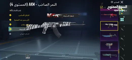  16 توصل رقم وتساب