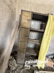  1 قنون حديد ( تفصيل ) جبل النصر