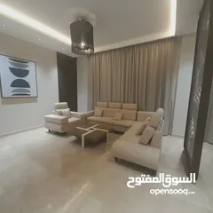  2 APARTMENT FOR RENT IN JUFFAIR FULLY FURNISHED 2BHK WITH ELECTRICITY