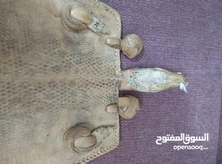  9 نوادر..حقيبة من جلد صغير تنين الكومودو