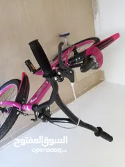  3 بسكليت صيني نخب اول (للبيع)