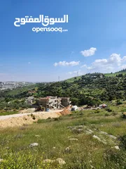  10 قطعة مميزة 2400 متر حوض ابو ركبة بالقرب من بدر الجديده  منطقه فلل وقصور