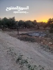  2 ارض نصف دونم مسطحه  طابو كدوم موقع ممتاز للبناء وتصلها جميع الخدمات