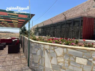  29 شيليه و مزرعة  للبيع او للايجار