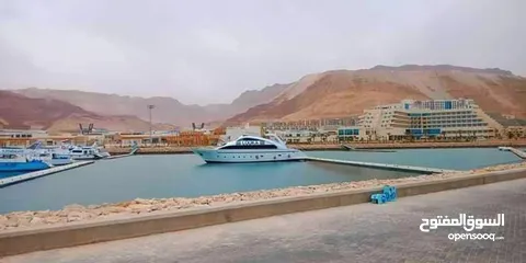  15 shستديو sea view في العين السخنه تشطيب كامل بالتقسيط