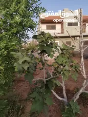  19 منزل مستقل للبيع مساحة 442 مكون من طابقين  الطابق الاول مستقل وشقتين الطابق الثاني كل شقه مستقله