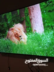  1 شاشة باناسونيك 55 انش