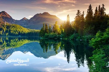  3 \ قناة سيارات جديدة لعشّاق السرعة والمغامرة! تابعوا قناتي على اليوتيوب المتخصصة في عالم السيارات، م