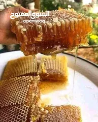  2 عسل عضوی کردستان