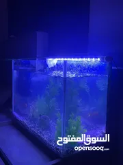  1 حوض سمك جاهز كامل ... اقرا الوصف