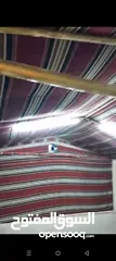  2 خيمه كتان سعودي نظام خليجي