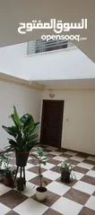  27 بسعر لقطه مع فرصه استثماريه  شقة ارضيه مع صالون ستاتي (ربوة عبدون )