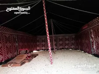  21 خيم شعر تراثيه  حجم 8م×4م يوجد أحجام أخرى حسب الطلب  الخيم جديده ولا يوجد  مستعمله