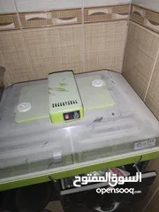  2 فقاسة طيور للبيع