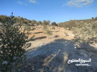  3 اربع دونمات منطقة أ يصلها كافة الخدمات للبيع بسعر مغري بالقرب من المنتزه والمدرسة وشارع علار الرئيسي