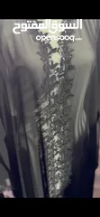  1 عبايات فوق المخور