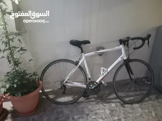  2 Orbea road bicycle made in Spain