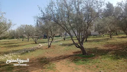  6 قطعت ارض اجمل مناطق الطنيب