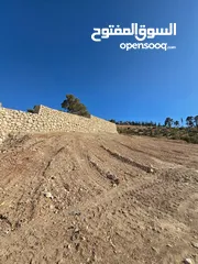  1 قطعة ارض للبيع قرب جامعة فيلادلفيا