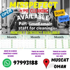  2 home cleaning service