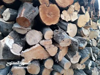  4 حطب زيتون ولوز وحمضيات ناشف مقطع حسب الطلب