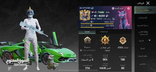  27 حساب ببجي للبيع الحساب طبعن مصروف علي صح سبب البيع عتزلت العبه الله يطرح البركه لصاحب النصيب