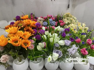  8 شروة مكرمة و قوار ورد