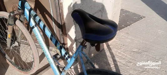  10 بسكليت امريكي للبيع وفي مراعاه