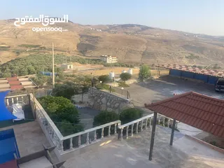  28 مزرعة ابو احمد البلوطي