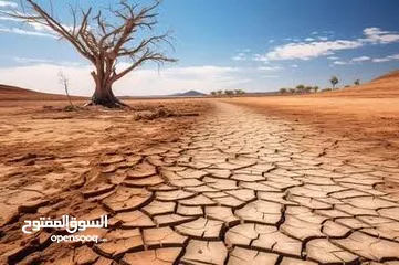  1 ابو يوسف سلامة