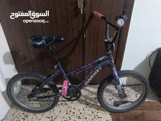  1 بسكليت للبيع