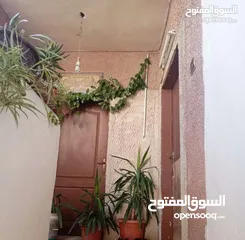  8 عمارة للبيع مكونة من ثلاث طوابق وتسوية  + بيت مستقل