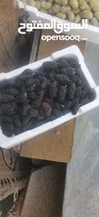  7 يرجد توت ابيض اسود تركي