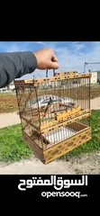  1 فحل ترابي بسعر حرق