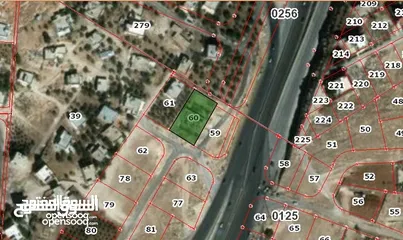  5 ارض داخل التنظيم شمال عمان (موبص) اول شارع الاردن