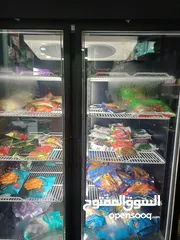  2 فريزر تجميد بخار 2022