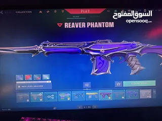  11 حساب فالورانت للبيع