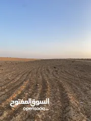  7 ارض زراعيه للبيع في طريق استوراد المفرق قرب مصنع الراجحي