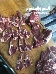  3 كل عام وانتم بالف خير اضحى مبارك