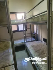 5 سكن شباب في دبي شارع المرقبات