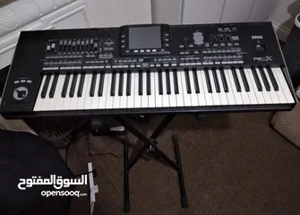  3 اورغ pa3x professional طويل