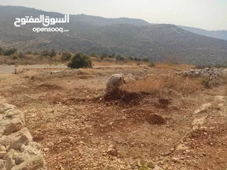  2 أرض للبيع في مزارع النوباني – موقع مميز وفرصة لا تعوّض!